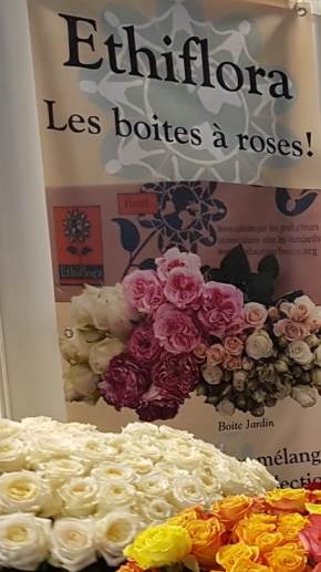 Salon fleurs Angers